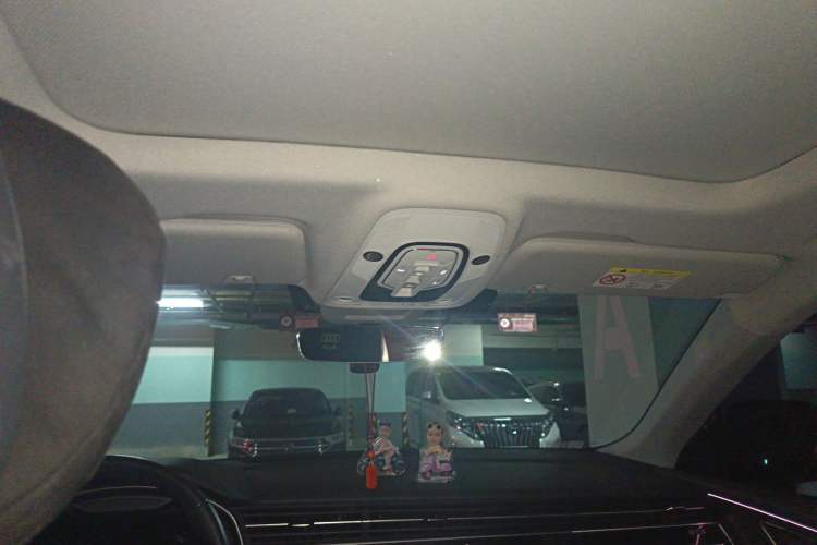 Used Audi Q8 2021 55 TFSI Luxury Dynamic Edition Headliner