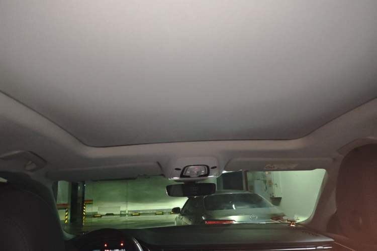 Used Audi Q8 2019 55 TFSI Luxury Dynamic Model Headliner