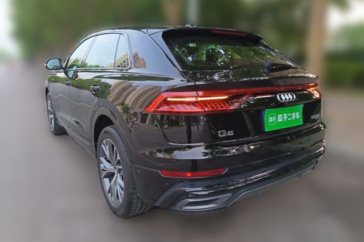 Used Audi Q8 2019 55 TFSI Luxury Dynamic Model Rear Left 45 Deg
