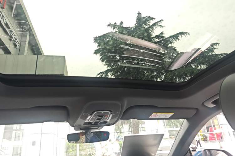 Used Audi Q8 2019 55 TFSI Luxury Dynamic Model Headliner