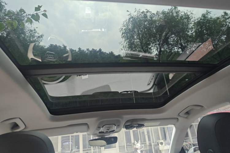 Used Audi Q8 2019 45 TFSI Luxury Prestige Edition Headliner