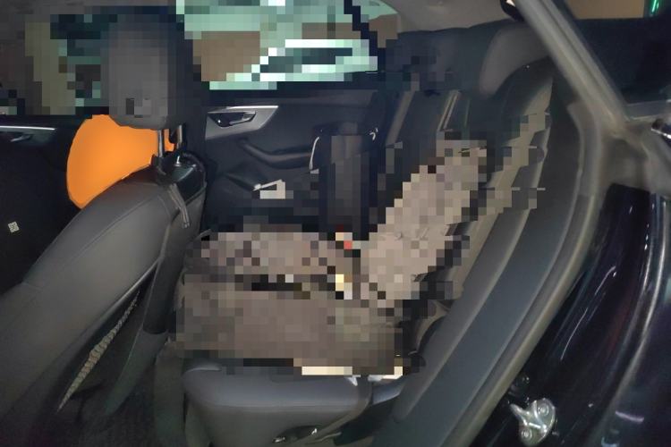 Used Audi Q8 2019 45 TFSI Luxury Prestige Edition Left Rear Seat