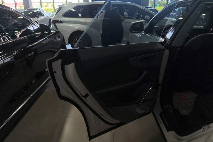 Used Audi Q8 2019 45 TFSI Luxury Prestige Edition Left Rear Door Interior