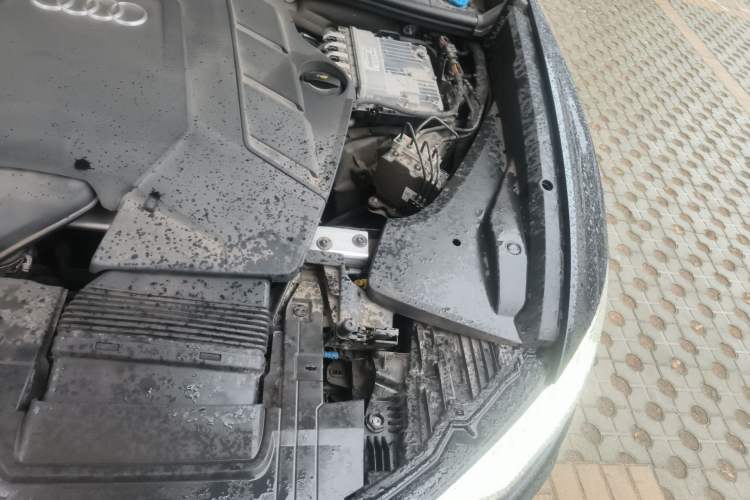 Used Audi Q8 2021 55 TFSI Prestige Dynamic Edition Engine Bay Left