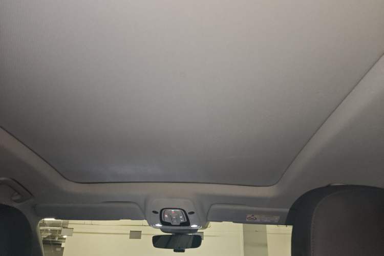 Used Audi Q8 2021 55 TFSI Luxury Dynamic Edition Headliner