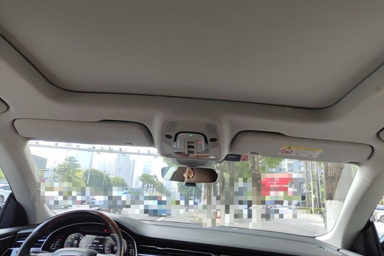 Used Audi Q8 2021 55 TFSI Luxury Dynamic Edition Headliner