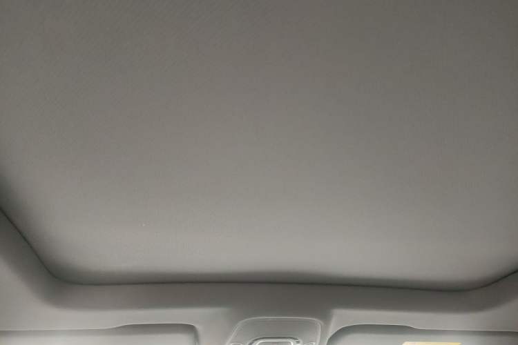 Used Audi Q8 2021 55 TFSI Prestige Dynamic Edition Headliner