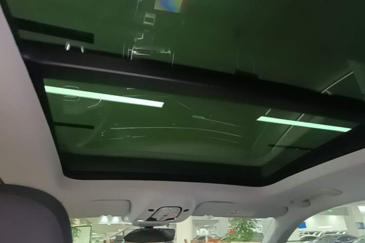 Used Audi Q8 2021 55 TFSI Luxury Dynamic Edition Headliner