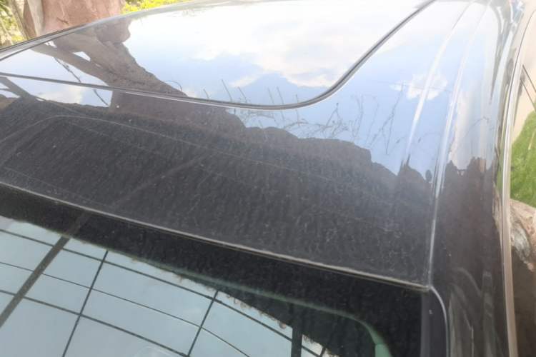 Used Audi Q8 2021 55 TFSI Luxury Dynamic Edition Roof