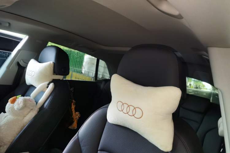 Used Audi Q8 2023 55 TFSI Luxury Dynamic Edition Headliner