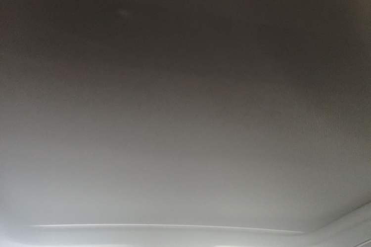 Used Audi RS 4 2019 RS 4 2.9T Avant Headliner