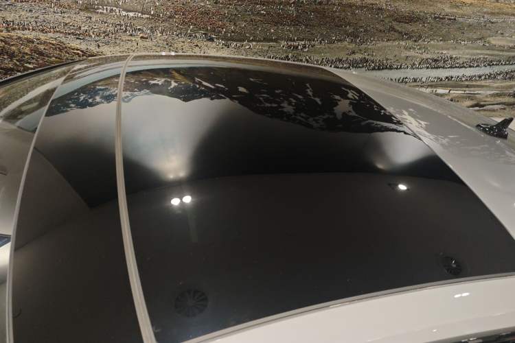Used Audi RS 5 2024 RS 5 2.9T Sportback Performance Edition Roof