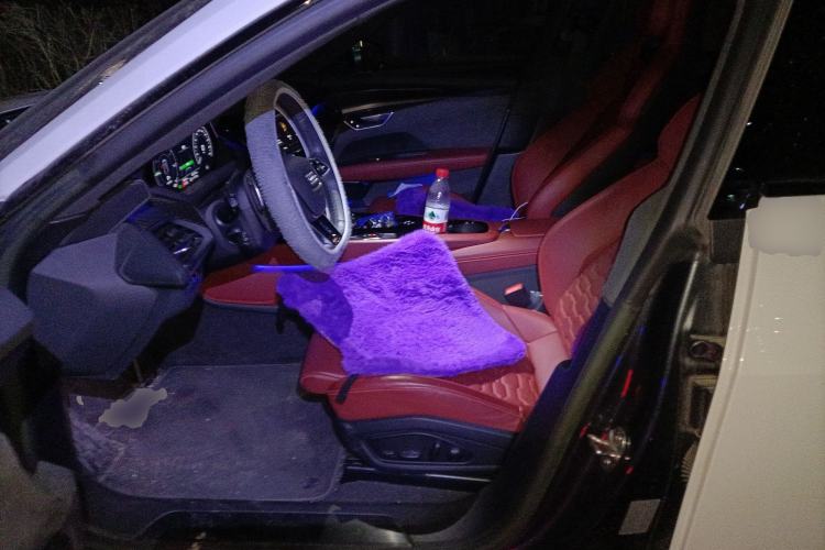 Used Audi RS e-tron GT 2023 Basic Model Left Front Seat