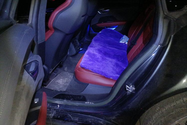 Used Audi RS e-tron GT 2023 Basic Model Left Rear Seat