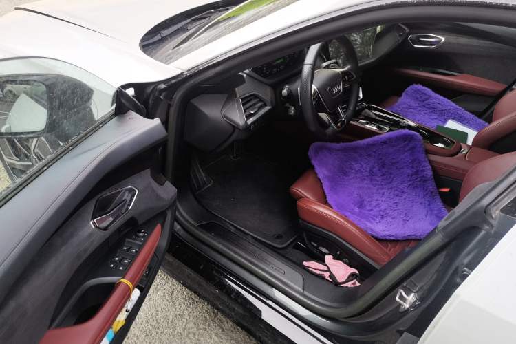 Used Audi RS e-tron GT 2023 Basic Model Driver Seat
