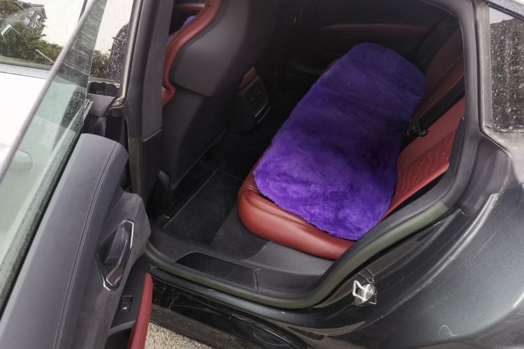 Used Audi RS e-tron GT 2023 Basic Model Left Rear Seat