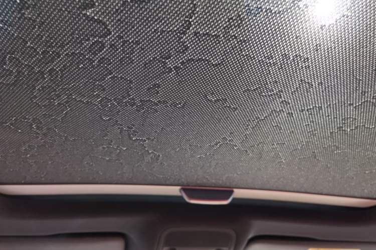 Used Audi S3 2019 S3 2.0T Limousine Headliner