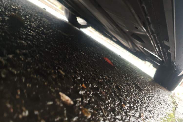 Used Audi S3 2019 S3 2.0T Limousine Chassis Rear Right