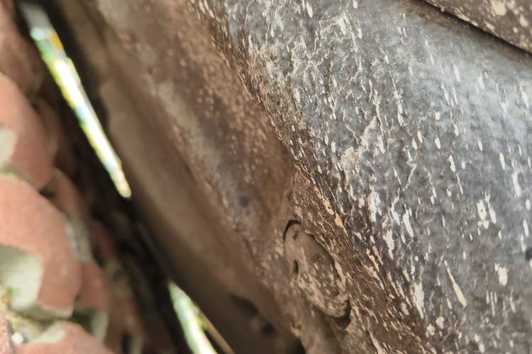 Used Audi S4 2018 S4 3.0TFSI Chassis Front Right