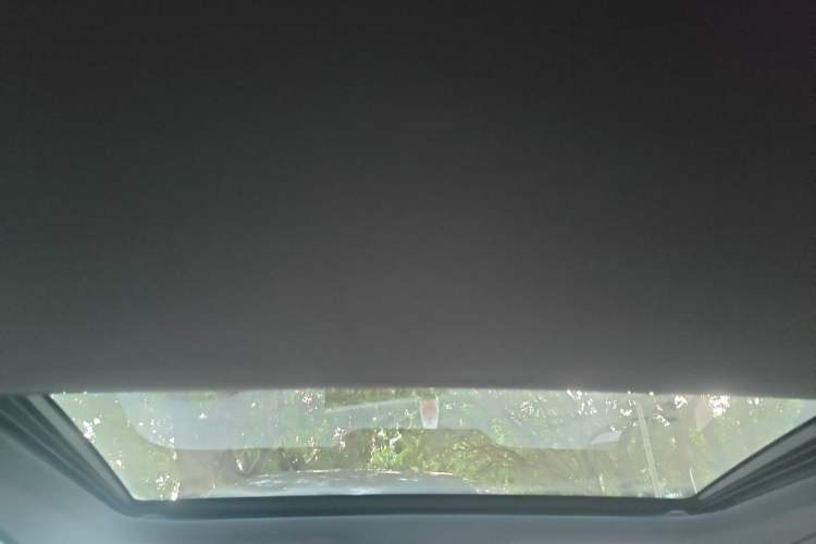 Used Audi S4 2020 S4 3.0TFSI Headliner