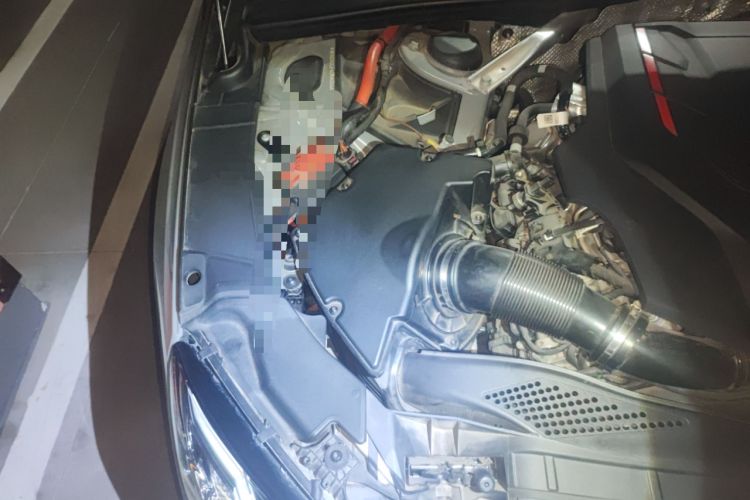 Used Audi S4 2022 S4 3.0TFSI Engine Bay Right