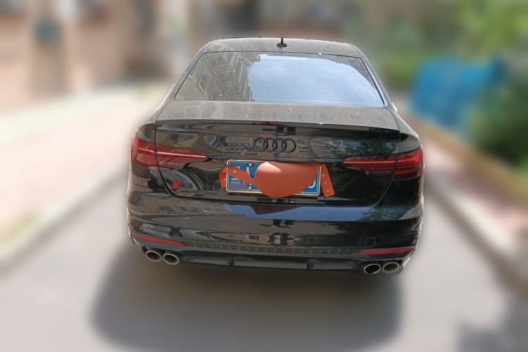 Used Audi S4 2023 S4 3.0TFSI Rear