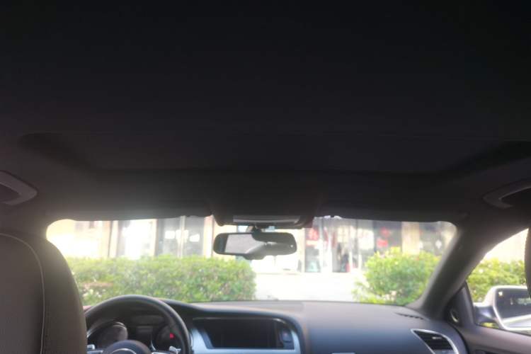 Used Audi S5 2010 S5 3.0T Sportback Headliner