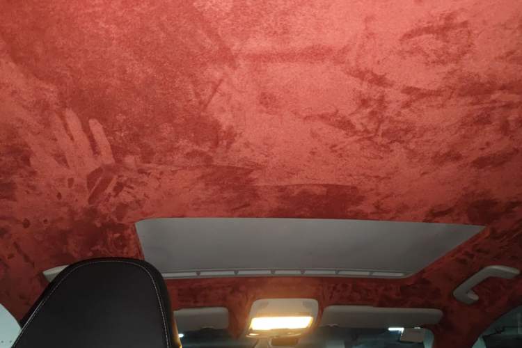 Used Audi S5 2010 S5 3.0T Sportback Headliner