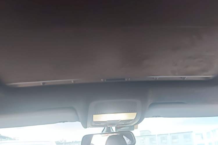 Used Audi S5 2010 S5 3.0T Sportback Headliner