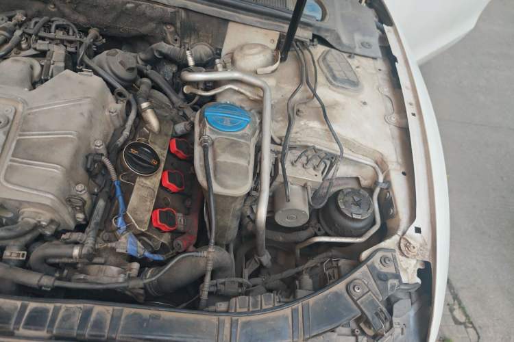Used Audi S5 2010 S5 3.0T Cabriolet Engine Bay Left