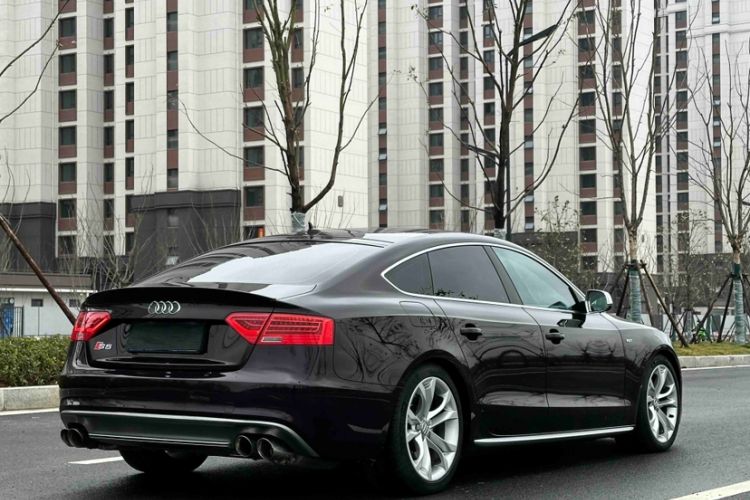 Used Audi S5 2016 S5 3.0T Sportback Exterior 10