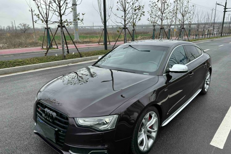 Used Audi S5 2016 S5 3.0T Sportback Exterior 4
