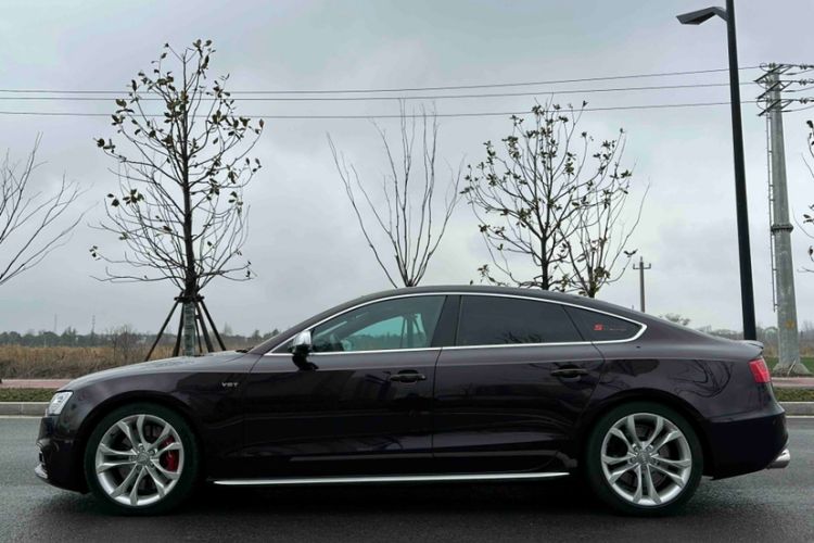 Used Audi S5 2016 S5 3.0T Sportback Exterior 6