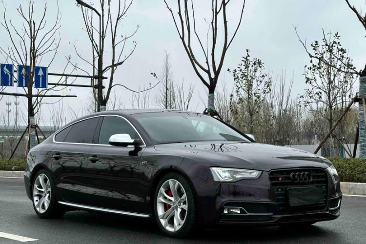 Used Audi S5 2016 S5 3.0T Sportback Exterior 8