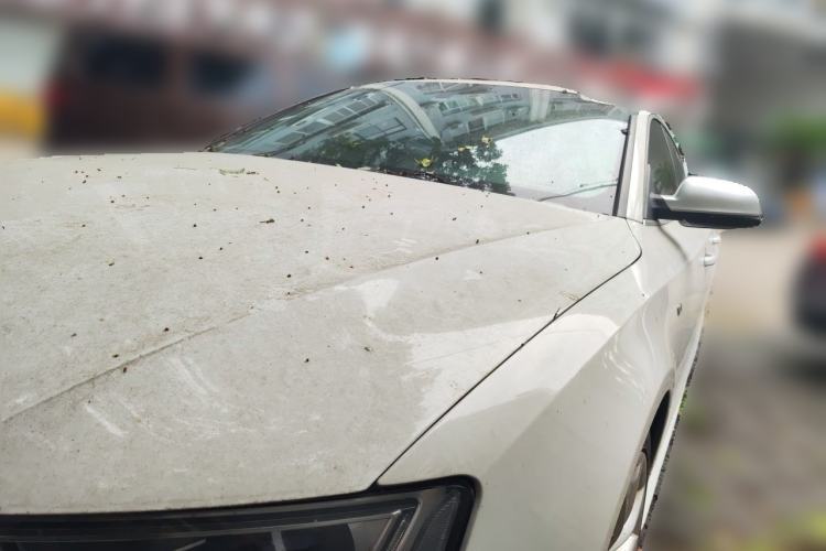 Used Audi S5 2016 S5 3.0T Sportback Guazi used car, China used car export, Used car for sale, Used Audi cars, Cheapest cars for sale