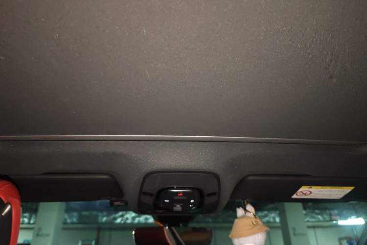 Used Audi S5 2022 S5 3.0T Coupe Headliner