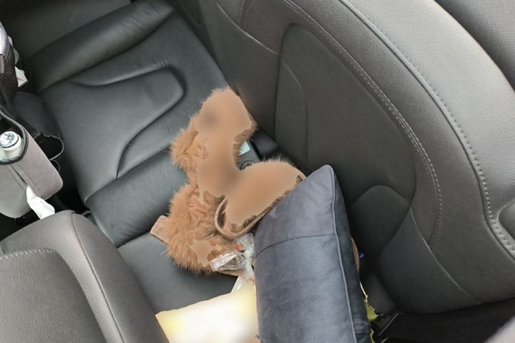 Used Audi TT 2013 TT Coupe 45 TFSI Left Rear Seat