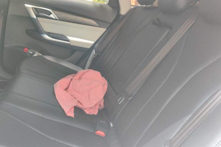 Used BAIC Beijing EU5 2018 R500 Smart Wind Edition Left Rear Seat