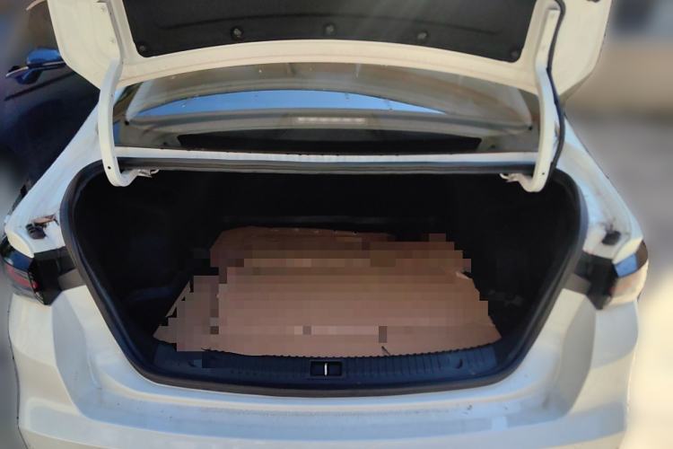 Used BAIC Beijing EU5 PLUS 2024 R600 Premium Travel Edition Trunk