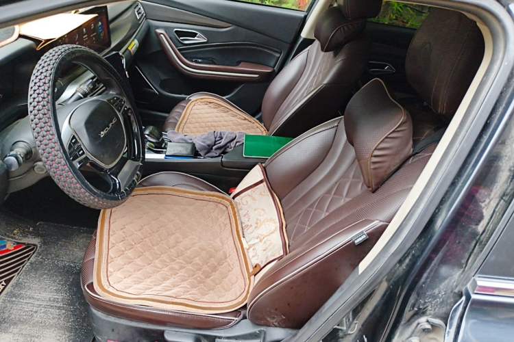 Used BAIC Beijing EU7 2019 Yifeng Edition Left Front Seat