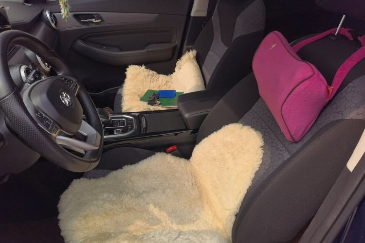 Used BAIC Beijing EX5 2019 Yuefeng Edition Left Front Seat