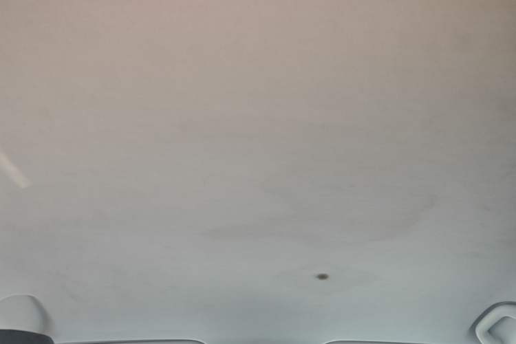 Used BAIC Beijing U5 PLUS 2021 1.5L CVT Luxury Edition Headliner