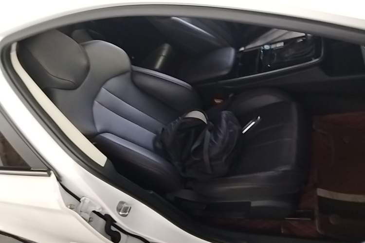 Used BAIC Beijing U5 PLUS 2021 1.5L CVT Luxury Edition Right Front Seat