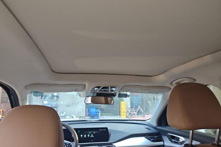 Used BAIC Beijing X7 2020 1.5TD DCT Leading Edition Headliner