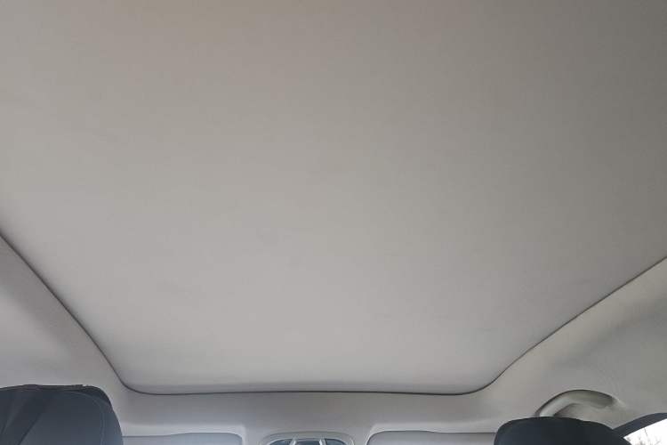 Used BAIC Beijing X7 2020 1.5TD DCT Trendy Edition Headliner