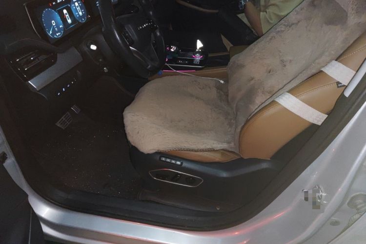 Used BAIC Beijing X7 2020 1.5TD DCT Leading Edition Left Front Seat