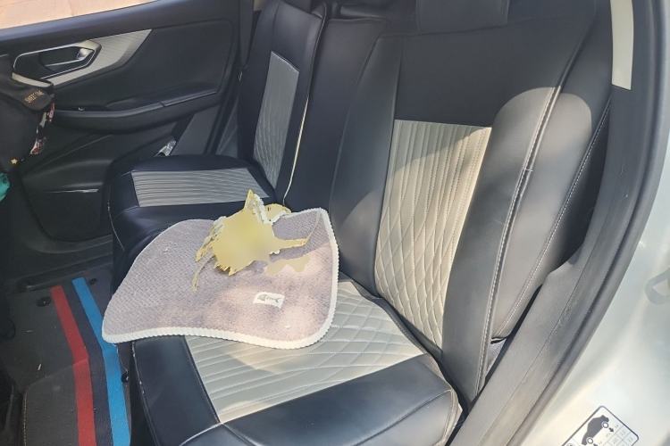 Used BAIC Beijing X7 2020 1.5TD DCT ZhiShang Edition Left Rear Seat