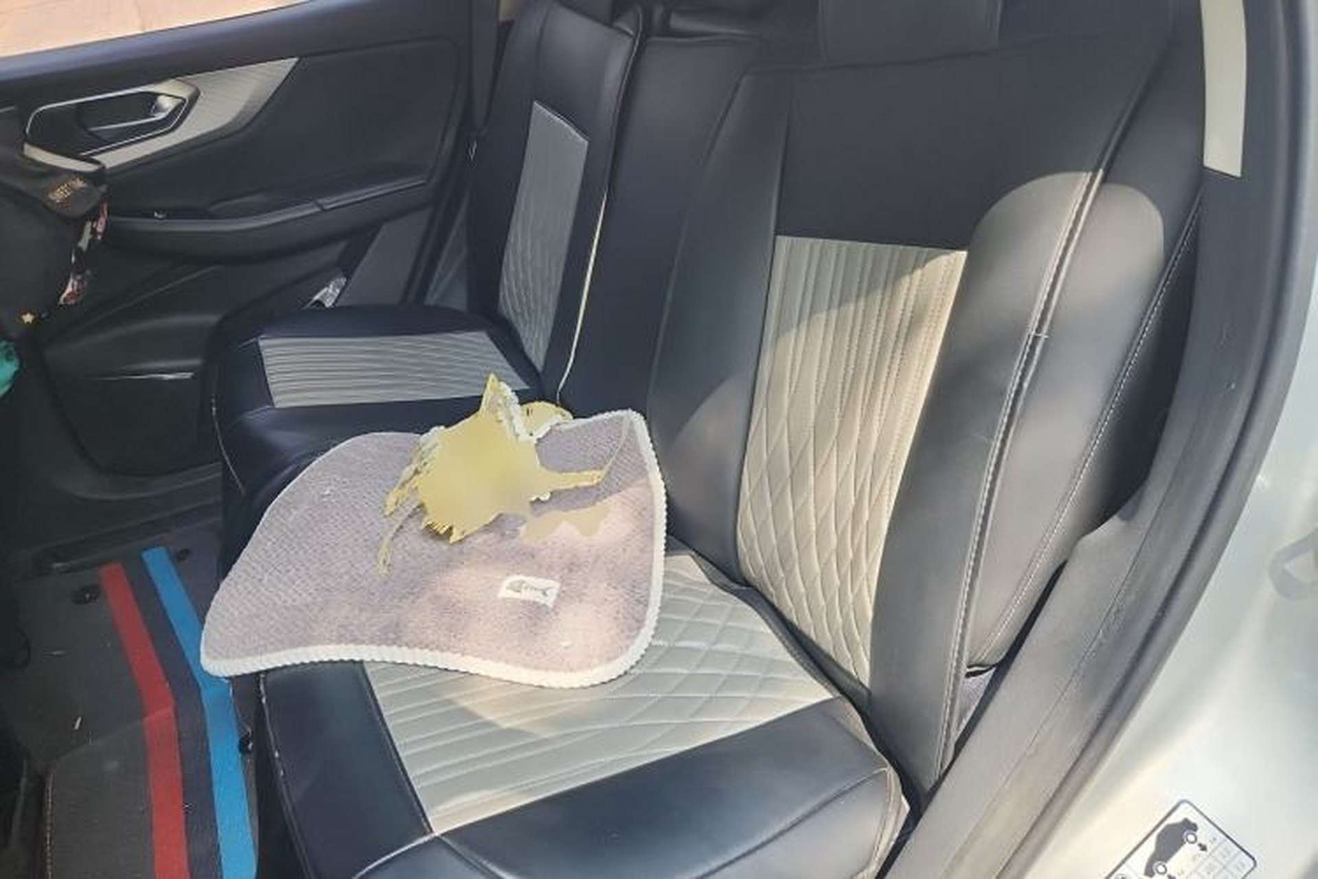 Used BAIC Beijing X7 2020 1.5TD DCT ZhiShang Edition Left Rear Seat