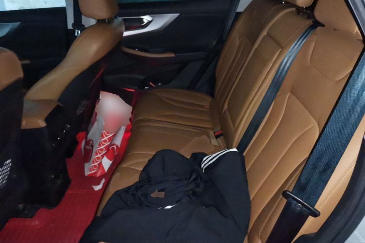 Used BAIC Beijing X7 2020 1.5TD DCT Leading Edition Left Rear Seat