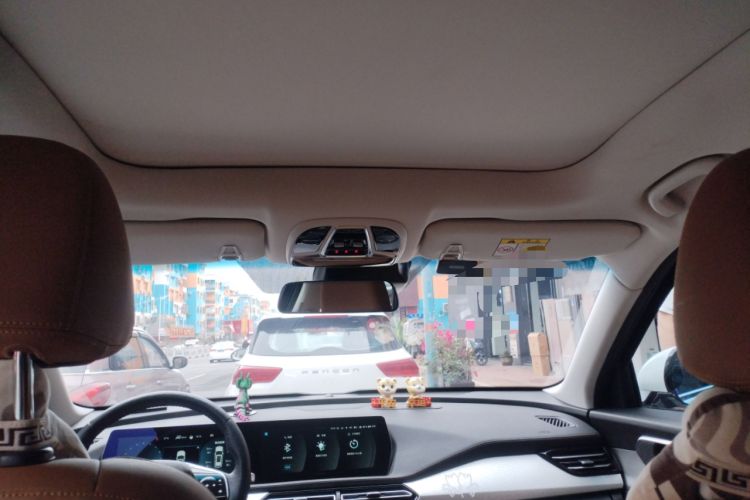 Used BAIC Beijing X7 2020 1.5TD DCT Leading Edition Headliner
